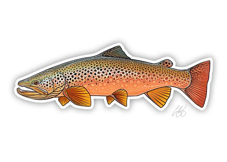 CASEY UNDERWOOD Autumn Brown Trout Decal by Casey Underwood