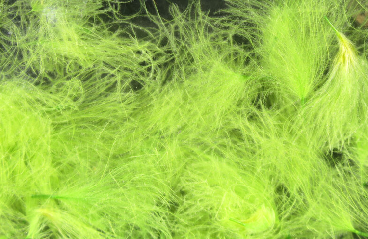 Hareline Dubbin HARELINE CDC OILER PUFFS