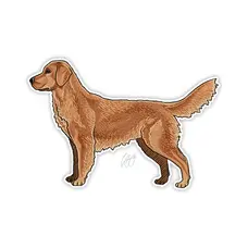 CASEY UNDERWOOD GOLDEN RETRIEVER STICKER CASEY UNDERWOOD