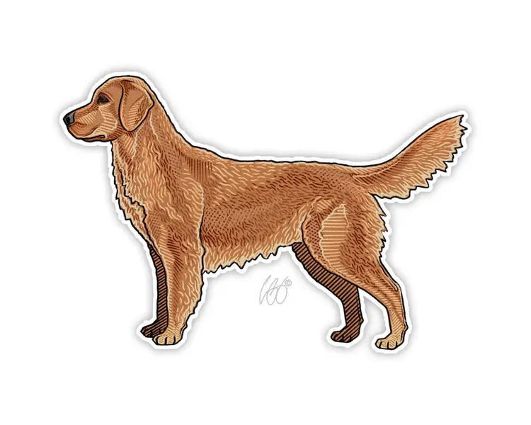 CASEY UNDERWOOD GOLDEN RETRIEVER STICKER CASEY UNDERWOOD