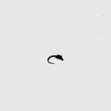 Ugly Bug Fly Shop UV Emerger Black #20