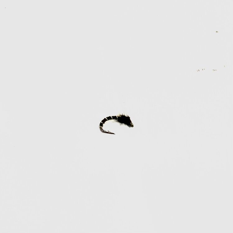 Ugly Bug Fly Shop UV Emerger Black #20