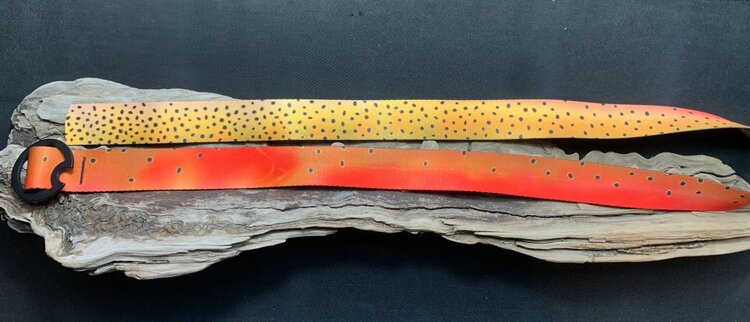 DRIFT BELT COMPANY WESTSLOPE CUTTHROAT LIFESTYLE BELT