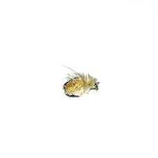 CATCH Z-WING CADDIS PUPA