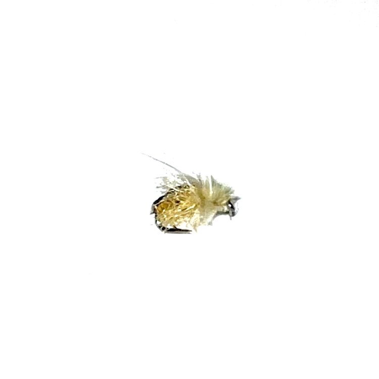 CATCH Z-WING CADDIS PUPA