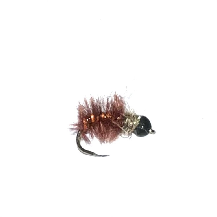 Montana Fly Company GALLOUP'S BH UV CADDIS PUPA