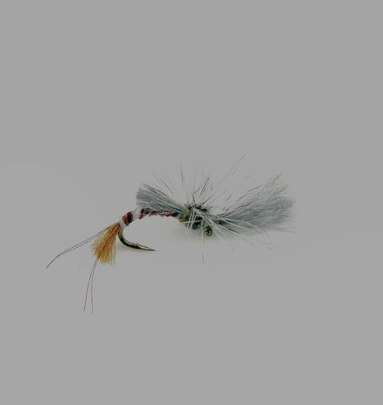 Dream Cast Fly Fishing FILM CRITIC