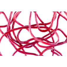 Montana Fly Company TRINA'S SQUIRM MATERIAL