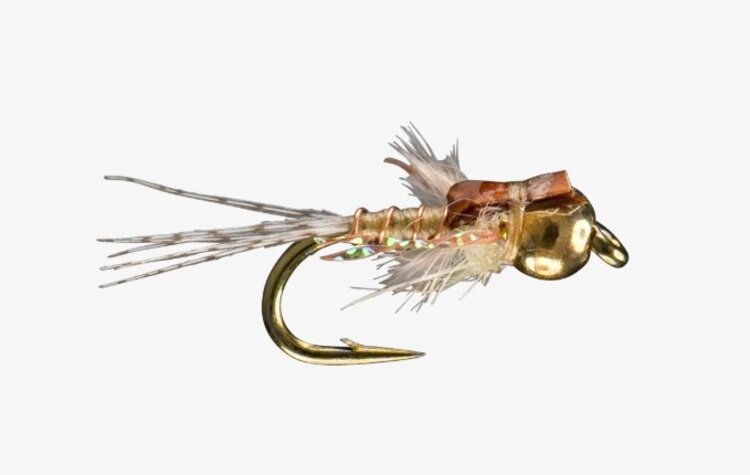 Ugly Bug Fly Shop Hogans S&M