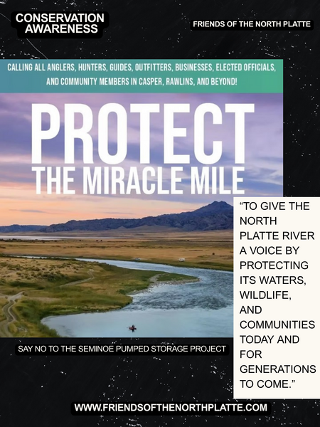 SAVE THE MIRACLE MILE