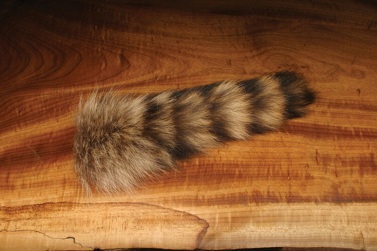 Hareline Dubbin COMPLETE RACCOON TAIL