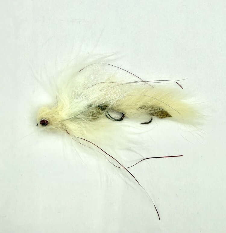 CATCH Bjorn's Mr. Creepo Albino #4 3 PACK