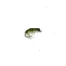 Ugly Bug Fly Shop OLIVE SCUD #14 GRAB BAG- 12 PER BAG