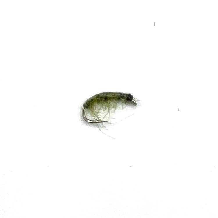 Ugly Bug Fly Shop OLIVE SCUD #14 GRAB BAG- 12 PER BAG