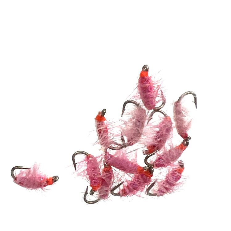 Ugly Bug Fly Shop PINK SCUD GRAB BAG #16- 12 PER BAG
