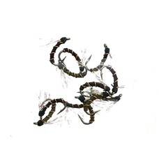 Ugly Bug Fly Shop UV MIDGE GRAB BAG #18- 12 PER BAG