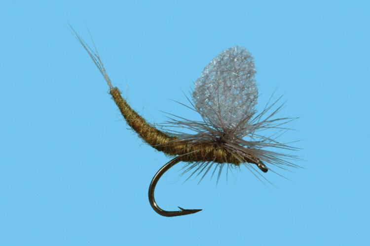 Solitude Fly Company EXTENDED BODY BWO