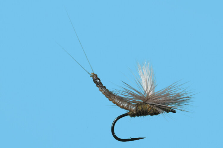 Solitude Fly Company PARA EXT. BODY BWO