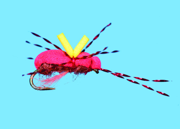 Solitude Fly Company ANT. MADONNA'S PANTY #16