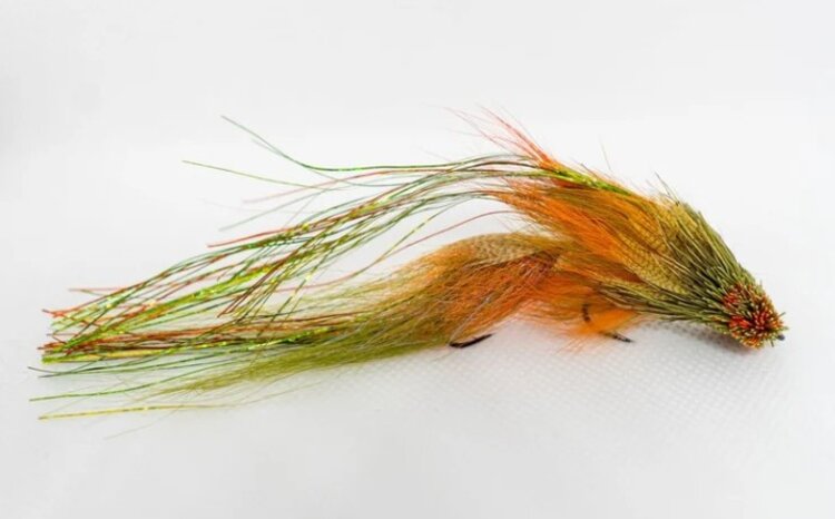 BLUE LINE CO. COOTER BROWN OLIVE/ORANGE 3 PACK