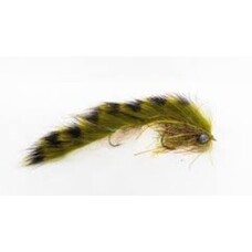 SCULPERINO OLIVE 5 PACK