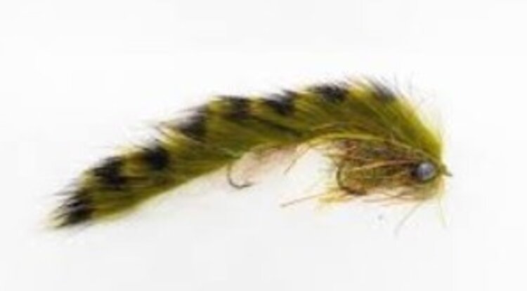 SCULPERINO OLIVE 5 PACK