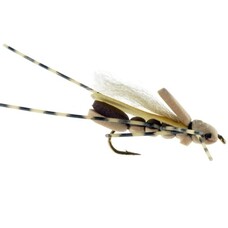 ERIC'S CLODHOPPER TAN #10 5 PACK