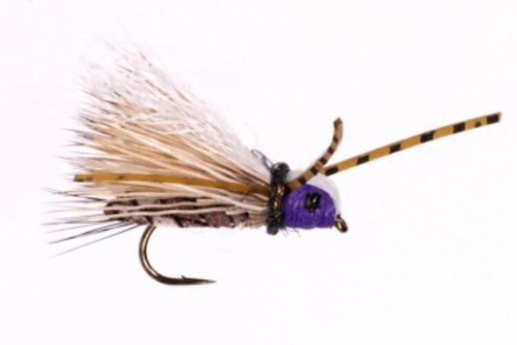 Dream Cast Fly Fishing DELEKTABLE TWISTED BABY PURPLE #12 3 PACK