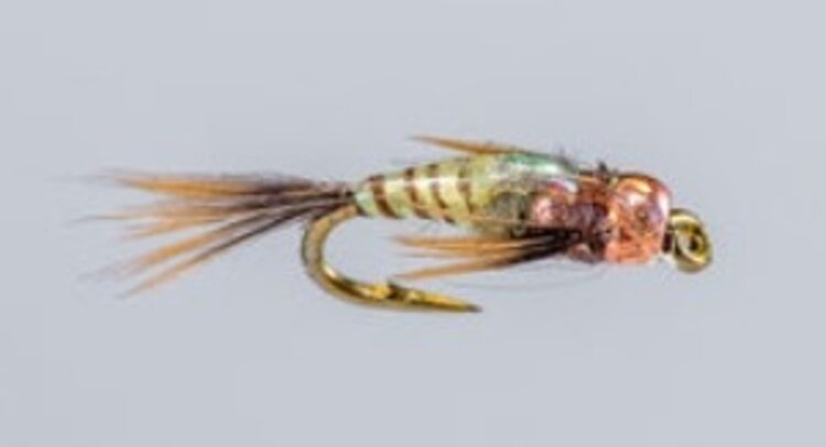 TWO BIT HOOKER TAN #18 12 PACK