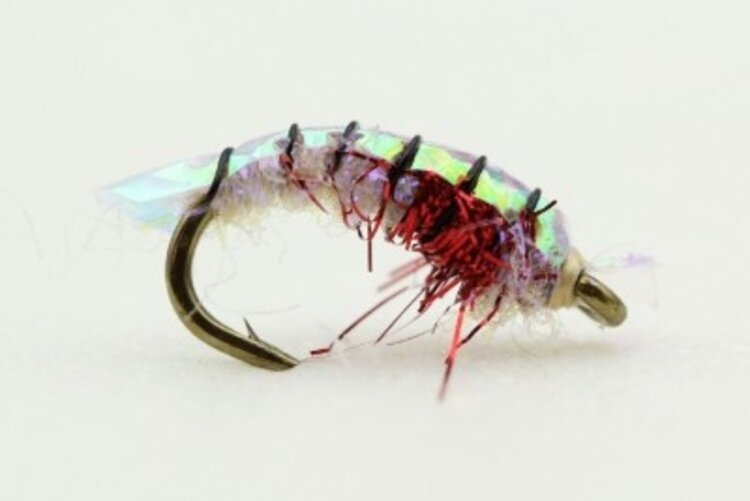 PURPLE BACK SCUD #18 5 PACK