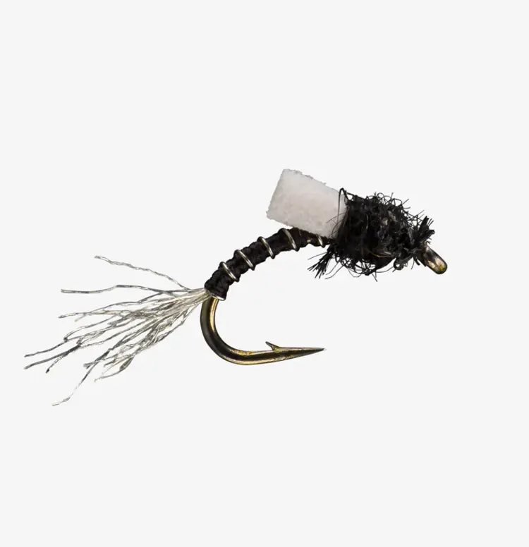Rio RIO FOAM BACK EMERGER