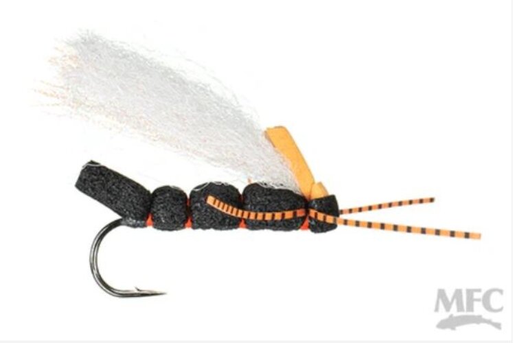 Montana Fly Company COOK'S CICADA PERIODIC #6