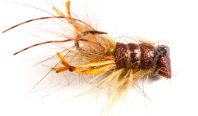 Ugly Bug Fly Shop Joes Mini Crayfish #8