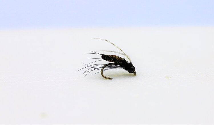 Ugly Bug Fly Shop SILVEY'S BH PUPA BLACK GRAB BAG #18 (8 PER BAG)