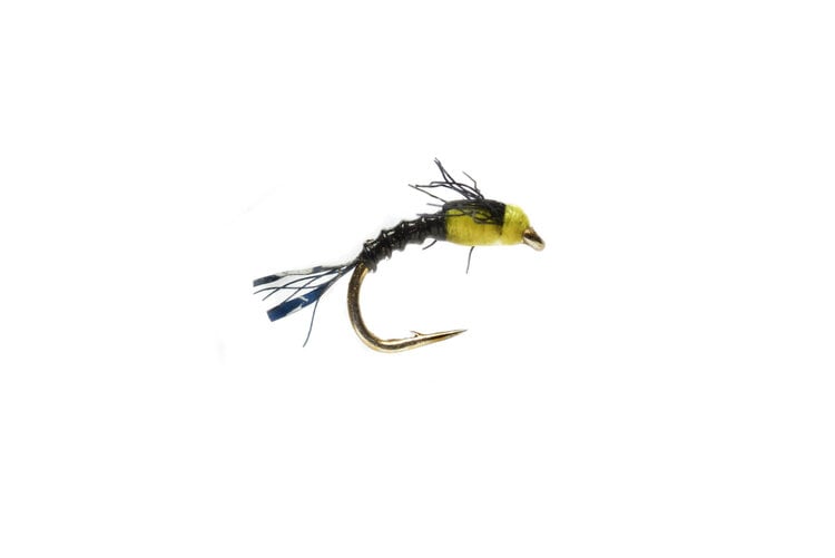Ugly Bug Fly Shop BOROFF HOT BELLY BAETIS GRAB BAG