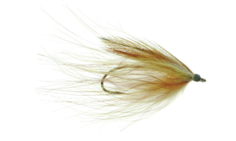 Umpqua Feather Merchants PLATTE RIVER SPIDER #4