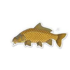 CASEY UNDERWOOD COMMON CARP Decal by Casey Underwood