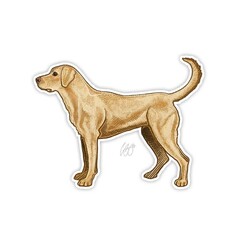 CASEY UNDERWOOD YELLOW LAB STICKER CASEY UNDERWOOD