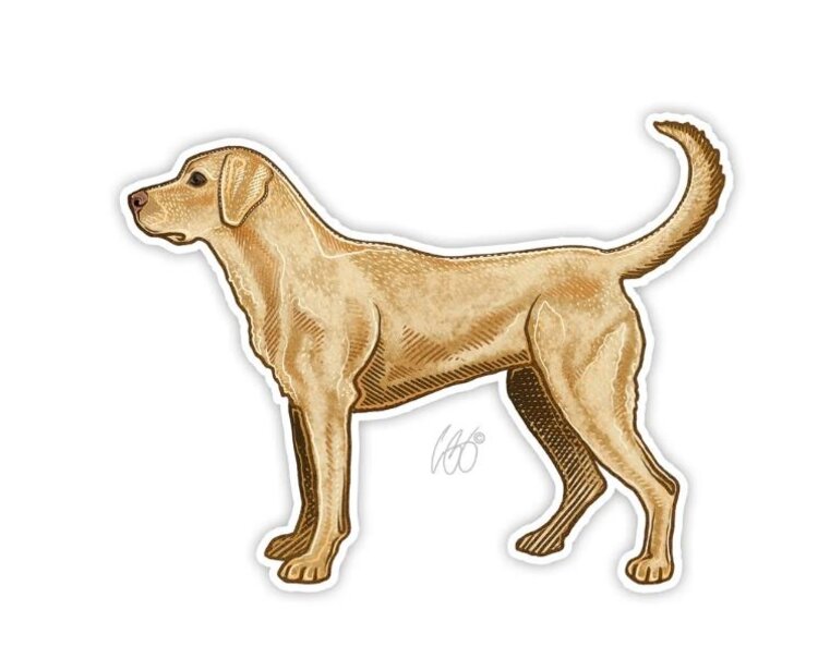 CASEY UNDERWOOD YELLOW LAB STICKER CASEY UNDERWOOD