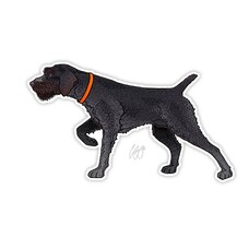 CASEY UNDERWOOD DRAHTHAAR STICKER CASEY UNDERWOOD