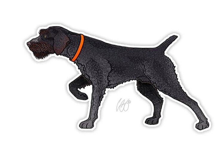 CASEY UNDERWOOD DRAHTHAAR STICKER CASEY UNDERWOOD