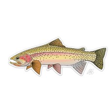 CASEY UNDERWOOD CUTBOW TROUT STICKER