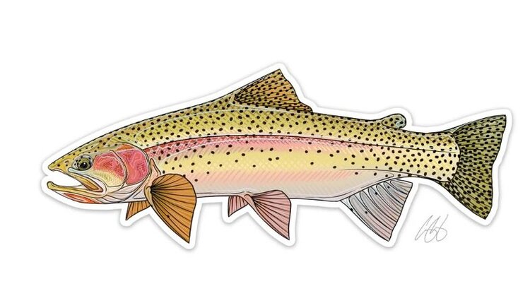 CASEY UNDERWOOD CUTBOW TROUT STICKER