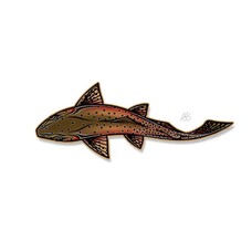 CASEY UNDERWOOD SWIMMING CUTTHROAT STICKER