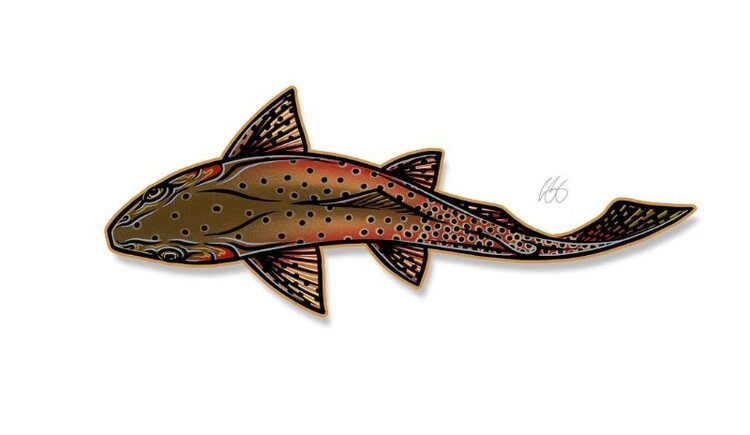 CASEY UNDERWOOD SWIMMING CUTTHROAT STICKER