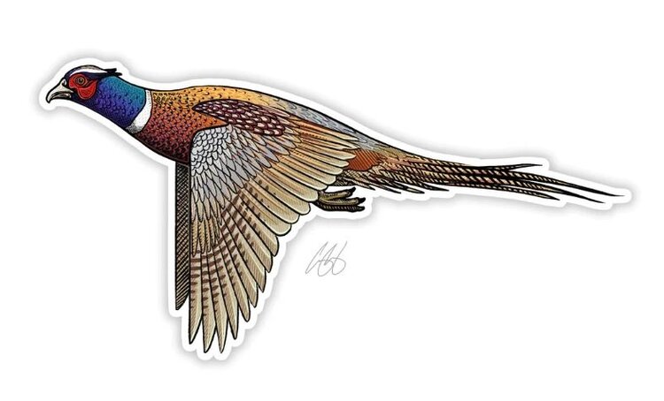 CASEY UNDERWOOD RINGNECK PHEASANT STICKER