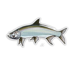 CASEY UNDERWOOD TARPON DECAL