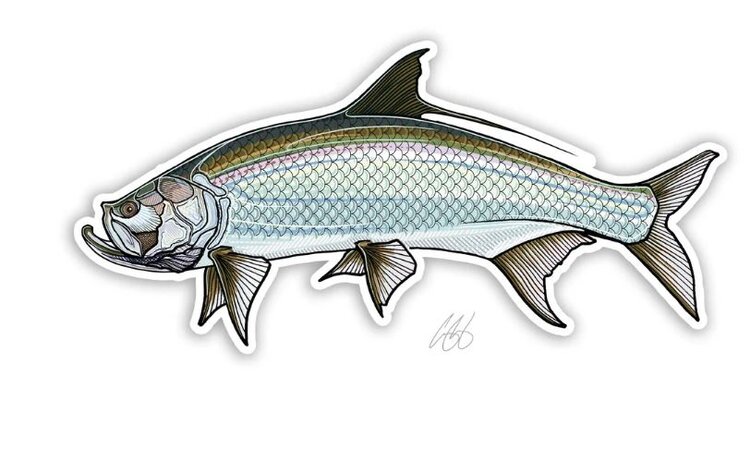CASEY UNDERWOOD TARPON DECAL