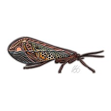 CASEY UNDERWOOD CADDIS SCAPE STICKER