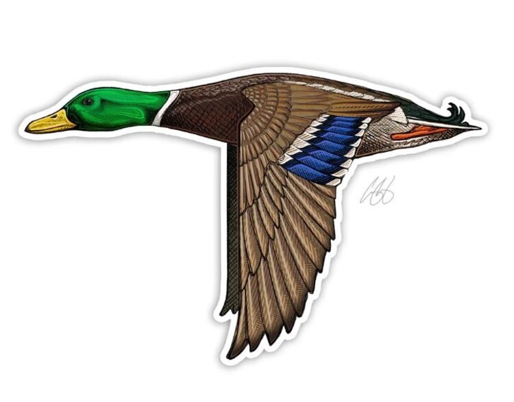 CASEY UNDERWOOD MALLARD STICKER